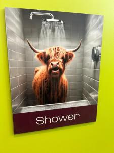 爱丁堡Safestay Edinburgh Cowgate的浴缸里装有奶牛的淋浴标志