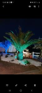 梅里尼亚克Mignon petit appartement indépendant的棕榈树在晚上点亮