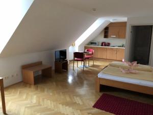 萨尔茨堡萨尔茨堡温床旅馆的阁楼间 - 带床和厨房