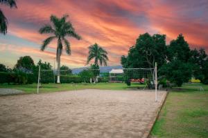 亚美尼亚Finca Hotel Palmas Del Edén的公园内种有棕榈树的排球场