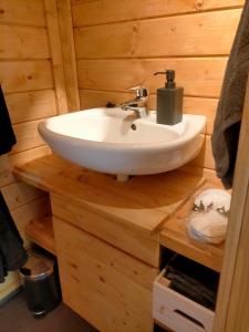 DoezumSterrenzicht BB Weidszicht的木制客房内的带水槽的浴室