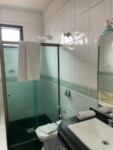 布鲁马迪纽Pousada Verde Villas的带淋浴、卫生间和盥洗盆的浴室