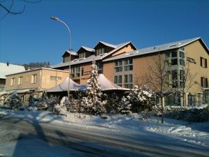 卢塞恩菲尔米斯酒店的雪中有一棵圣诞树的建筑