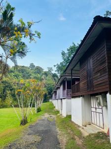 彭亨LiLLA Hilltop Retreats Janda Baik formerly known as Serene Resort的一条靠近一排建筑物的土路