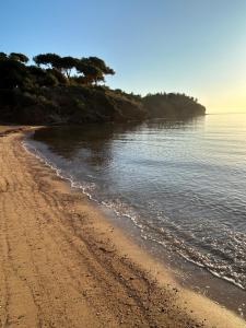 卡波利韦里Suosogno sul mare 200metri dalla spiaggia的一片种有树木的沙滩