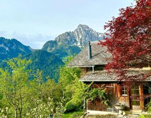 RougemontGstaad Paradise View Chalet with Jacuzzi的山底房子