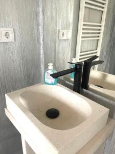 吉勒乌Casa Ryana Gilau的浴室水槽和一瓶肥皂