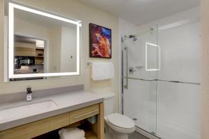 列克星敦列克星敦烛木套房酒店的浴室配有卫生间、盥洗盆和淋浴。