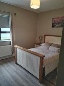 巴利香农Parkhill House Self Catering的一间卧室设有一张大床和一个窗户。