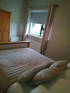 巴利香农Parkhill House Self Catering的一间卧室设有一张大床和窗户