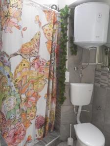 萨拉热窝Apartmani Zaara的一间带卫生间和淋浴帘的浴室