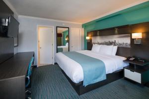 旧金山Inn On Grove的酒店客房设有一张大床和一台电视。