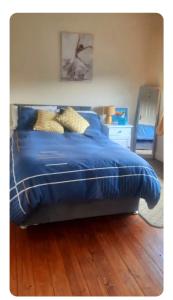 利默里克Glasha House的卧室内的一张蓝色棉被