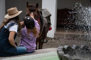 奥塔瓦洛Hostería Hacienda Pinsaqui的一个小女孩在喷泉旁抚摸马