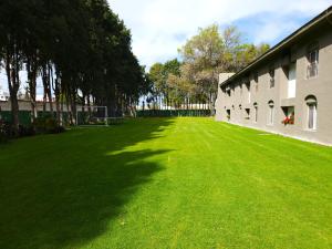 乔卢拉乔卢拉考古别墅酒店的一座大型绿色草坪,毗邻一座建筑