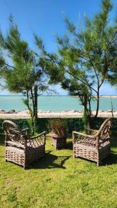 考卡亚Vila icarai的两个长椅坐在海滩附近的草地上