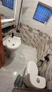 伊斯兰堡Luxury Family的一间带卫生间和水槽的浴室