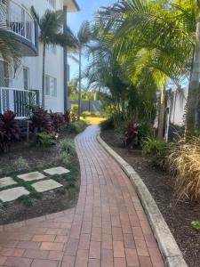 黄金海岸海雾棕榈酒店的棕榈树屋前的砖路