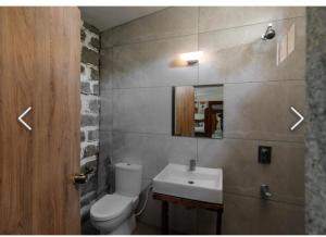 SanivÄrsanteJungle stay by Bilwa Estate的一间带卫生间、水槽和镜子的浴室