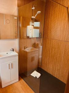 西班牙角Red Cliff Lodge的浴室配有盥洗盆和带镜子的淋浴