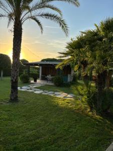 埃尔切CASA JOAN的院子里有棕榈树的房子