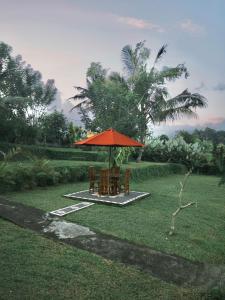 Papahan Bali外面的花园