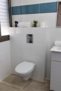 海法Domus Bat Galim Hotel的白色的浴室设有卫生间和水槽。