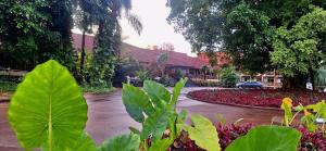 伊瓜苏港若爱查斯日欧诺酒店的绿叶花园,位于房子前