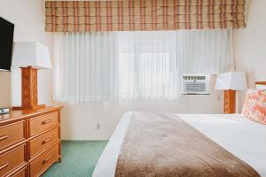 利胡埃Banyan Harbor Resort的酒店客房设有床和窗户。