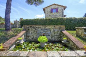 科尔托纳Casale Cantalena的一座花园,花园内设有一个种有植物的池塘和一座建筑
