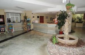 圣米格尔德阿沃纳Amplio estudio Golf del Sur的大厅,大楼中央有一个喷泉