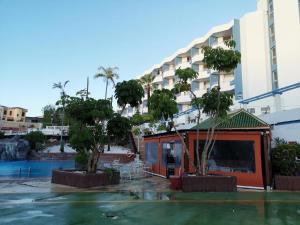圣米格尔德阿沃纳Amplio estudio Golf del Sur GP115的一座建筑前有树木的酒店