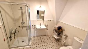 耶德利纳-兹德鲁伊Hotel Charlotta的带淋浴和盥洗盆的白色浴室