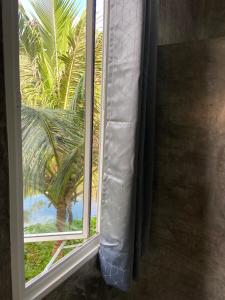 瑶亚岛Green Mountain Resort Koh Yao的享有棕榈树景致的窗户