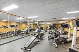 白鱼镇Morning Eagle 207的健身房设有数台跑步机和镜子