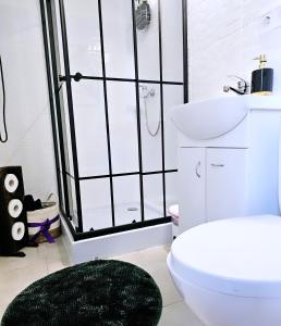 LielvārdeLāsītes的浴室配有卫生间、盥洗盆和淋浴。