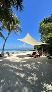 Tintipan IslandSal Si Puedes的海滩上设有帐篷和椅子,大海