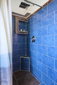 塔马林多Hotel Perla de la Playa的蓝色瓷砖淋浴间,设有蓝色瓷砖墙
