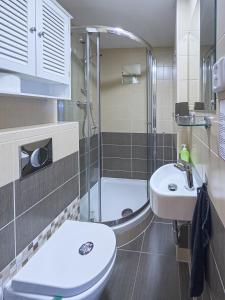 卡罗维发利Nely´s Apartment的带淋浴、卫生间和盥洗盆的浴室