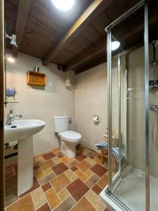 MonteCasa Rural El Salvijo的浴室配有卫生间、盥洗盆和淋浴。