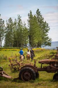 劳加尔瓦特恩艾弗斯达勒农场酒店的三位骑着拖拉机在田野骑马的人