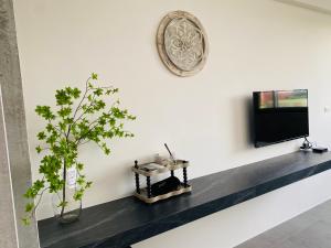 马公夏至文旅 Midsummer Guest House的一间带电视和植物的客厅