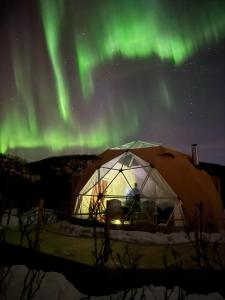 Northern Light Panorama Evenes的天空中光辉灿烂的冰屋