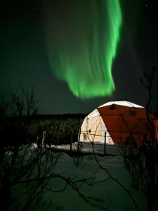 Northern Light Panorama Evenes的天空中光辉灿烂的冰屋