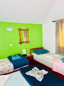 蓬塔杜索尔Casa BB&Djassi的一间设有两张床和绿色墙壁的客房
