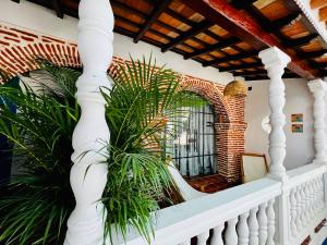 卡塔赫纳Los Patios Hostel的一个带白色栏杆和植物的门廊