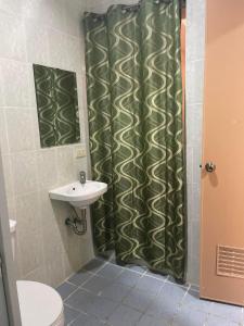 安吉利斯Hotel Good Day的浴室设有绿色的淋浴帘和水槽