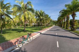 邦涛海滩Laguna Park Townhomes & Villas的一辆自行车停在一条棕榈树环绕的道路的一边