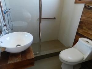 瓦尔迪维亚绿香酒店的一间带水槽、卫生间和淋浴的浴室