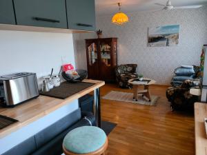 KõrgessaareHiiumaa Family Apartments Kõrgessaare的厨房以及带台面的起居室。